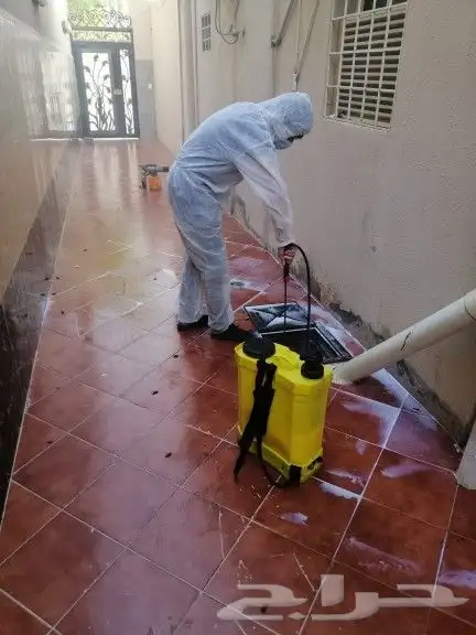 شركة مكافحة حشرات رش مبيدات رش مبيد نمل صراصير وزغ فأران 6