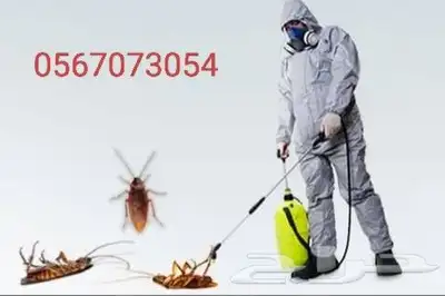 الريان المثالي مكافحه حشرات 0