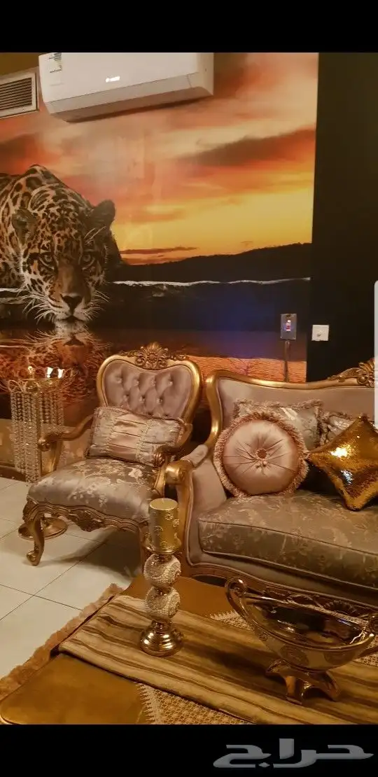 طقم كنب كلاسيكي ملكي ذهبي فاخر جدا جدا 3