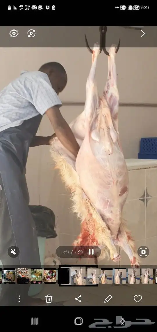 خرفان جبره مناسبات نظاف وسمان احدرفيده مقابل فندق كيان 8