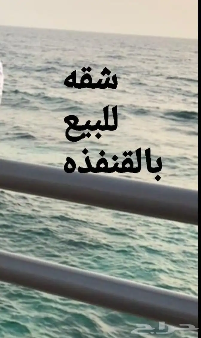 القنفذه اثاث 0