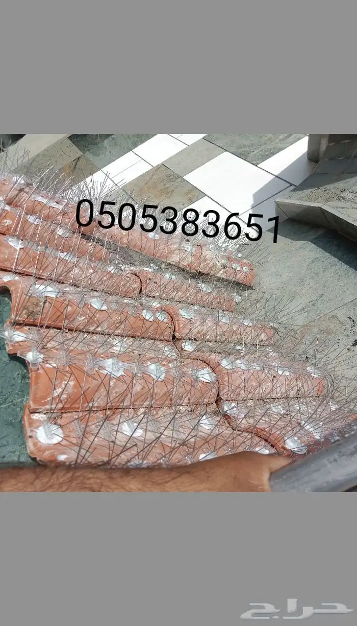 صندوق فائبر اجلاس غطم يف 1