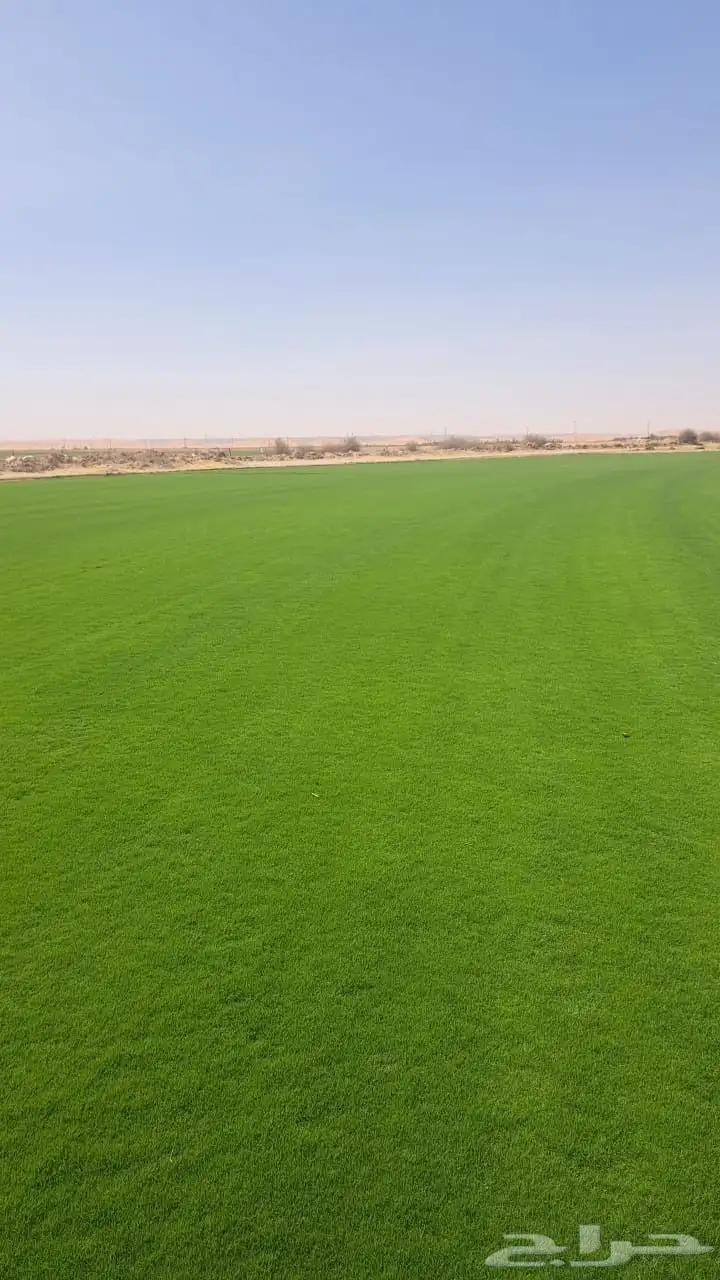 ثيل الخرج فرنسي ممتاز 0