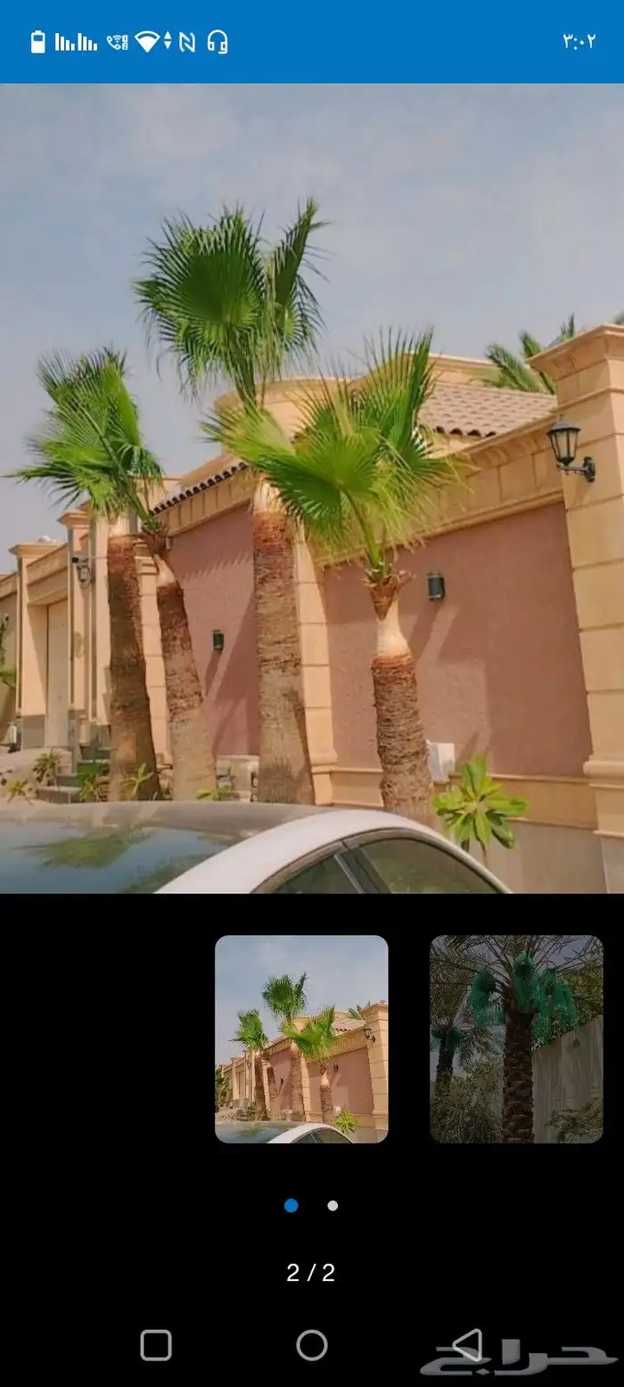 تكريب نخيل وقص اشجار 3