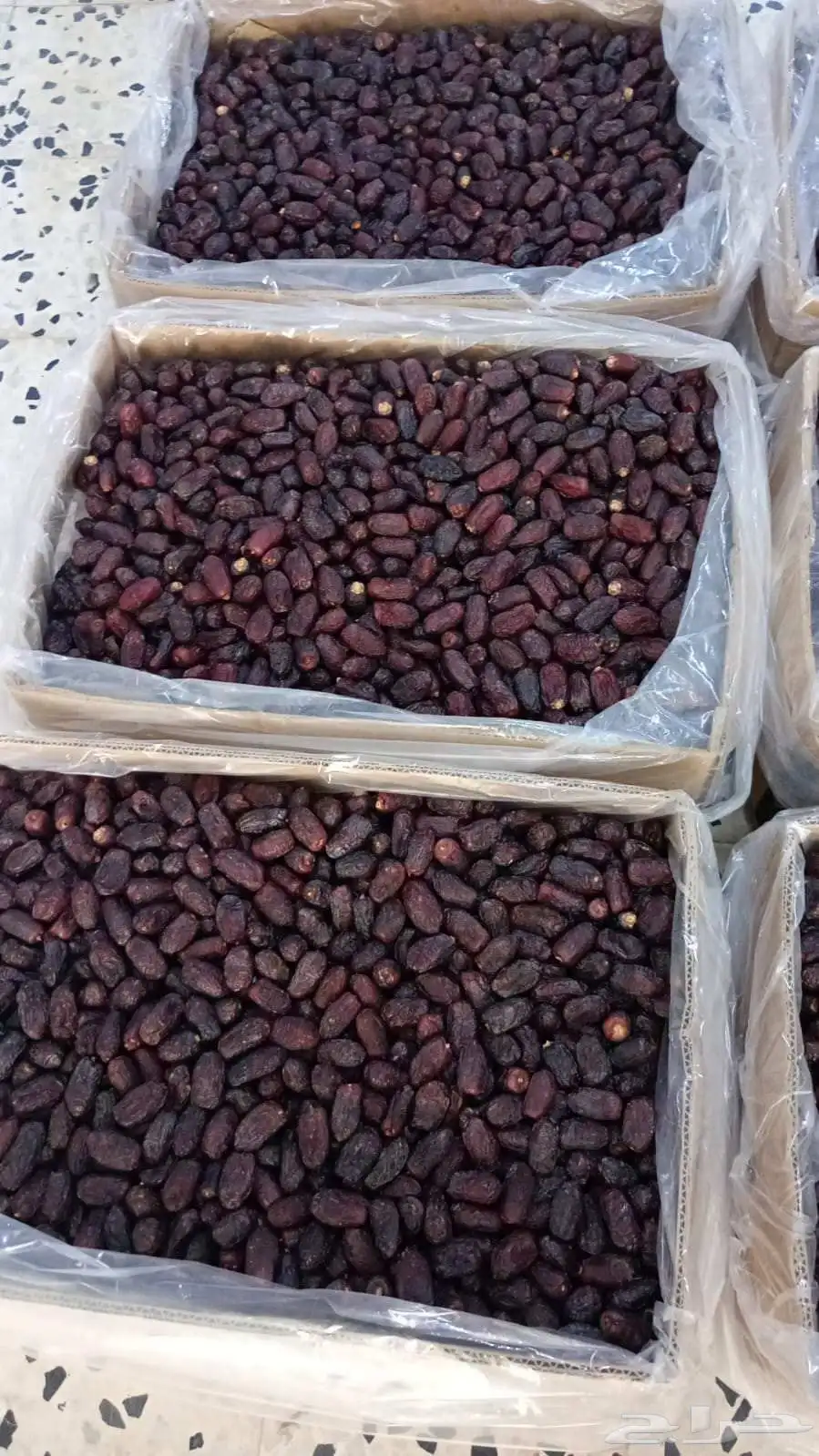 متوفر صفاوي كمية 3 طن 0