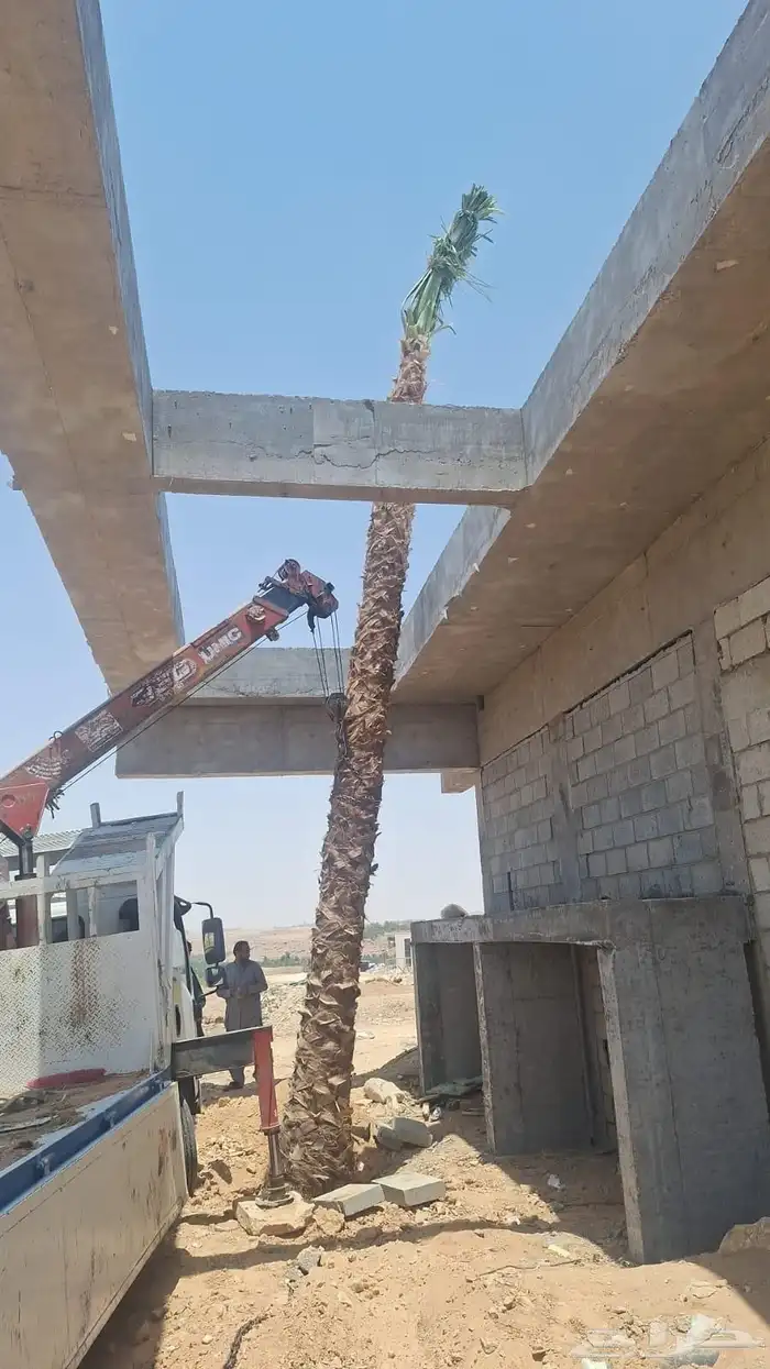 مقاول شبوك 3