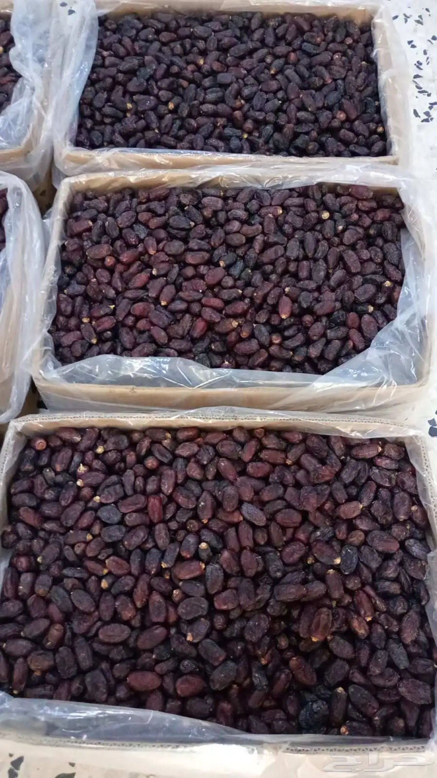 متوفر صفاوي كمية 3 طن 1