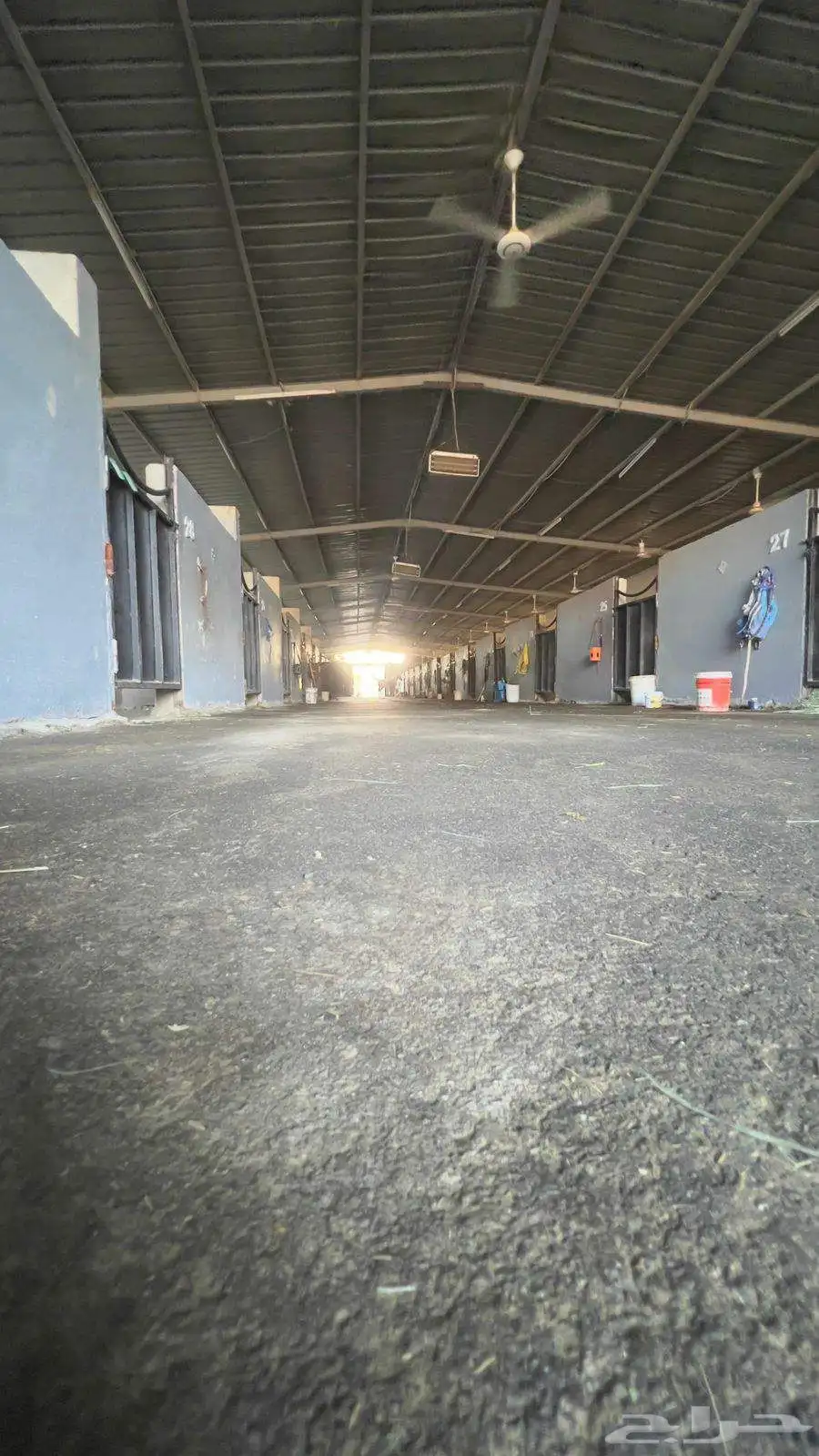 خدمات تدريب فروسية عسف الخيل وتطوير مستواها مع خدمة الايواء 6
