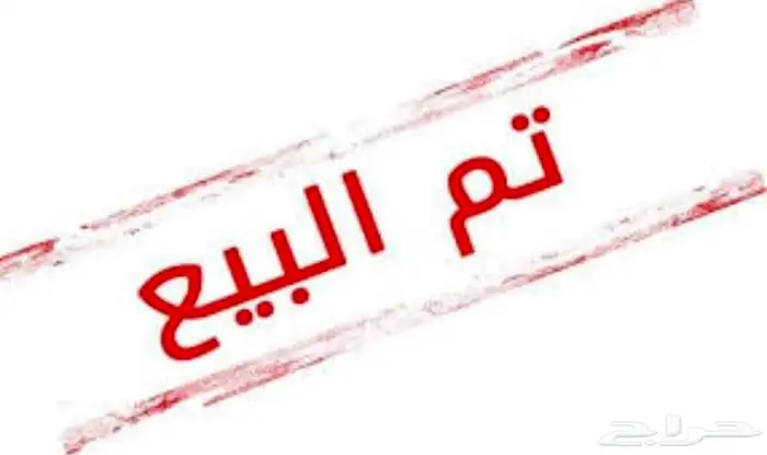 ارانب بابيون عملاق بسعر مناسب 0