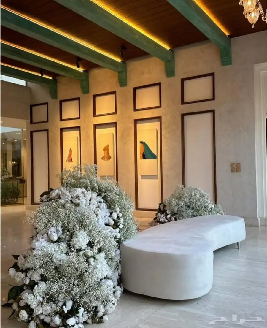 احدث الكوش 3