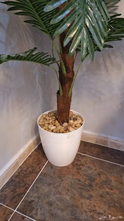 شجرة صناعية طول 1.50 متى 1