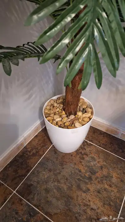 شجرة صناعية طول 1.50 متى 3