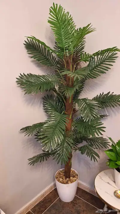 شجرة صناعية طول 1.50 متى 4