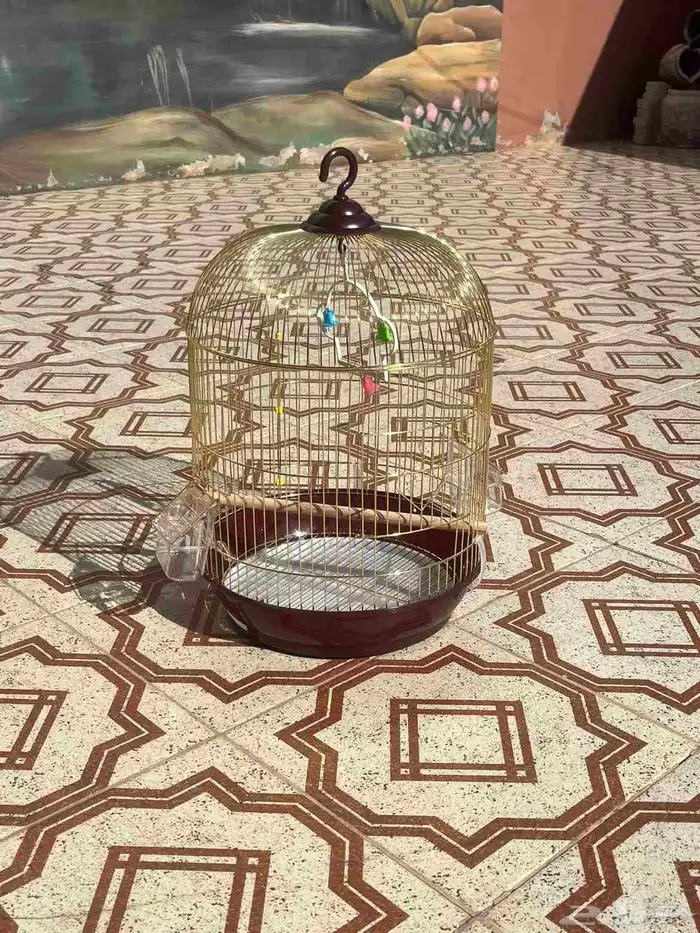 تم البيع 2