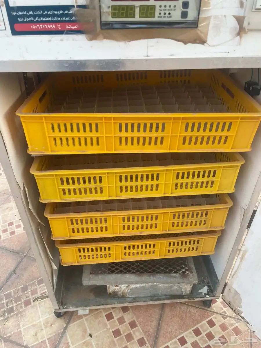 فقاسه 1