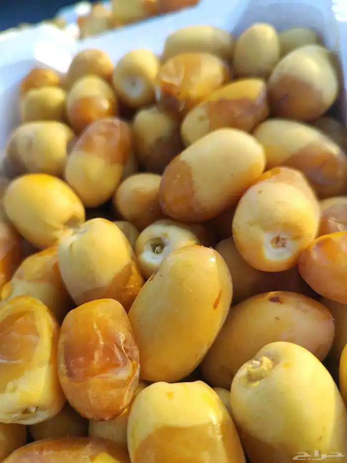 رطب اخلاص 1