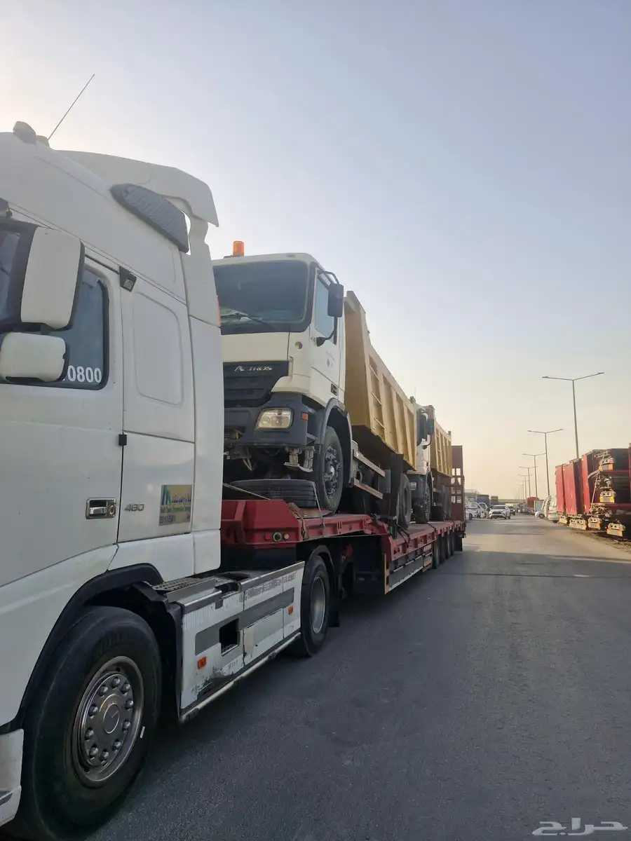 لوبد تيماء الجهراء العلا تبوك 4