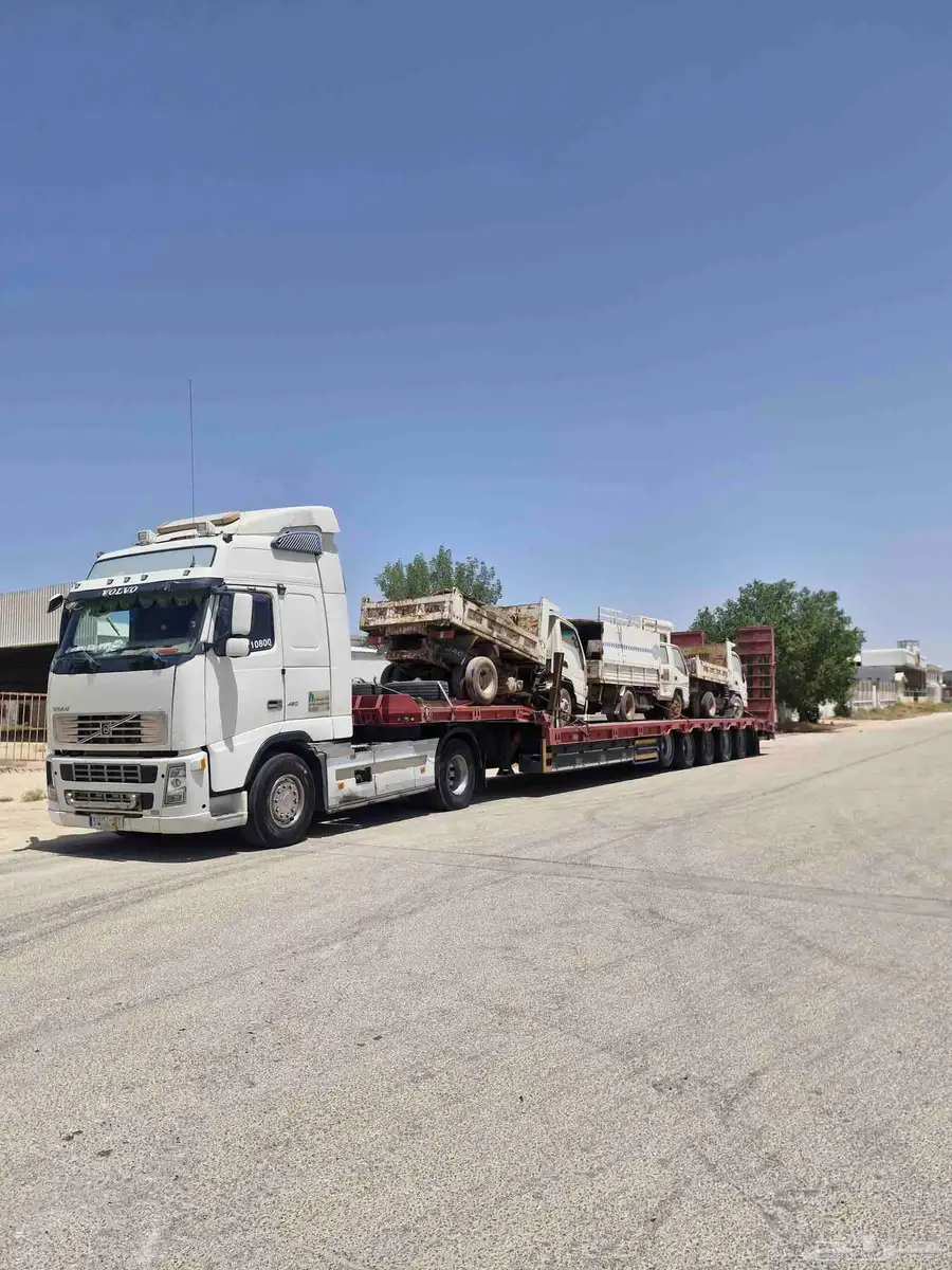 لوبد تيماء الجهراء العلا تبوك 3