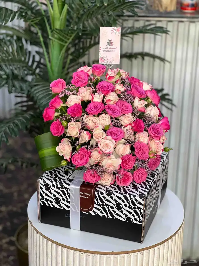 مندوب هدايا جده 5