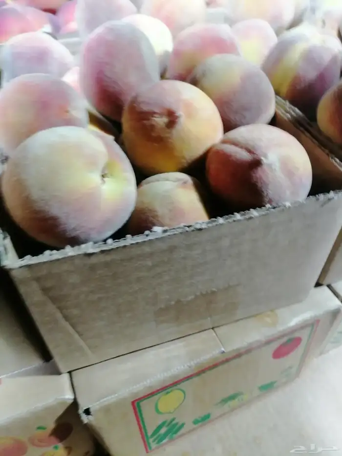 وصل الرياض برشومي وحماط وخوخ طايفي مع توصيل مجاني 2