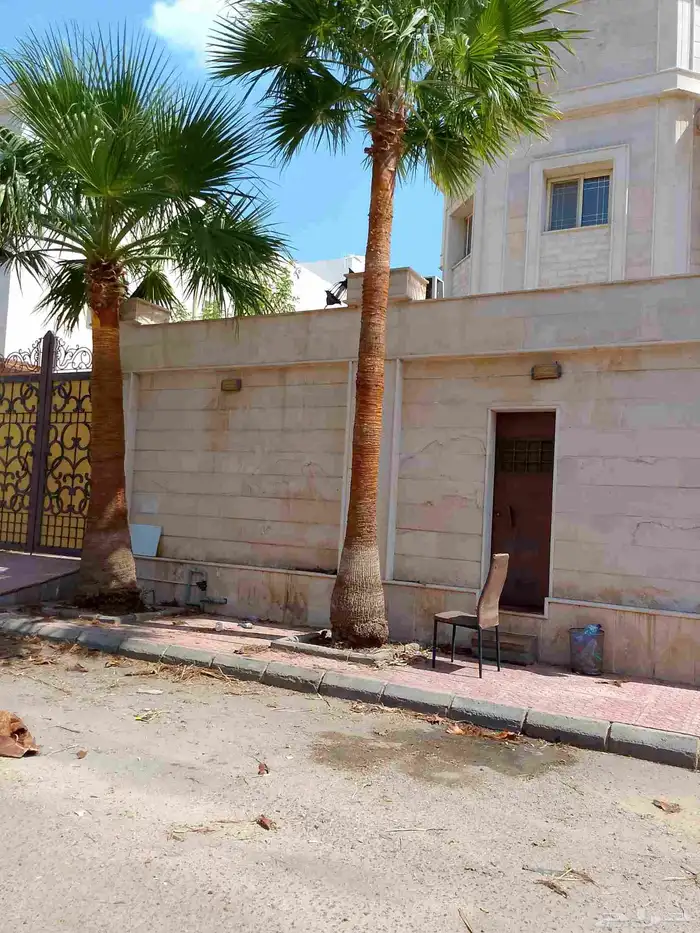 تكريب نخيل وواشنطونيا وتجهيز احواض زراعية وقطع اشجار 2