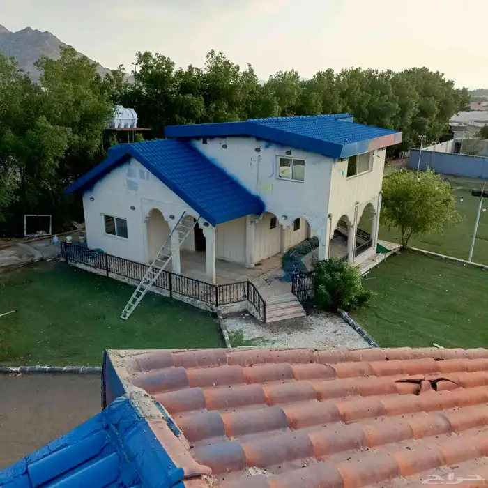 ابوعلي البويات 6