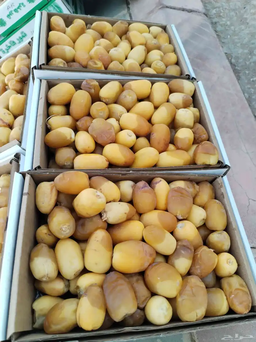 متوفر لدينا تمر رطب خلاص طيب 0