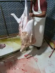 احدرفيده خرفان جبره ناهيه للعباده والمناسبات ويوجد تيوس 7