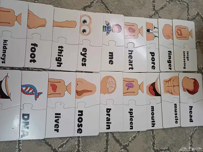 لعبة تعليميه انجليزي وصور عن الجسد 1
