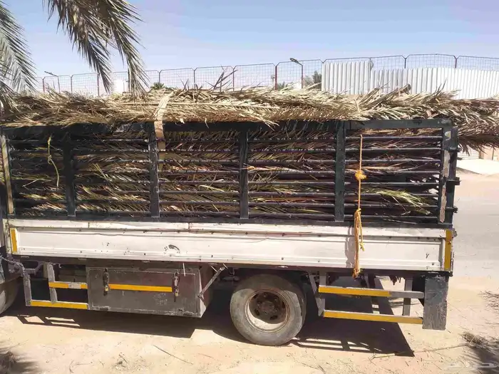 سعف نخيل طيب جديد للعرايش والمظلات 5