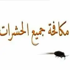 شركة مكافحة حشرات بجازان 0