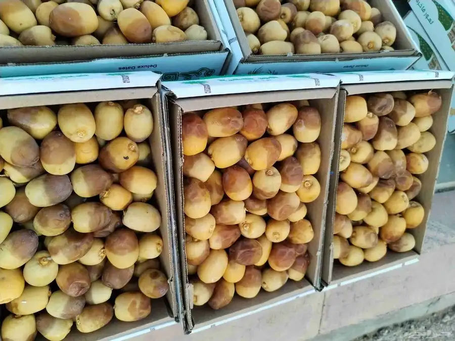 متوفر لدينا تمر رطب خلاص طيب 3