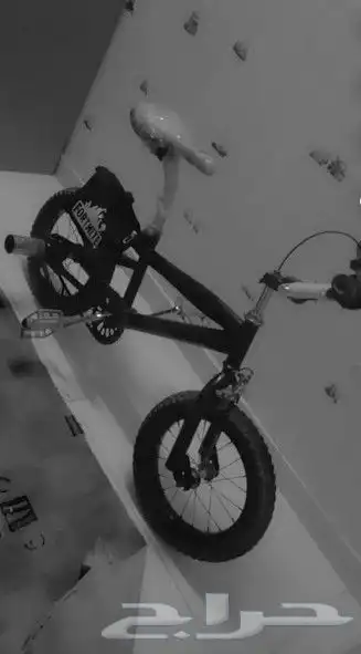 للبيع سيكل كوبرا مقاس 16على السوم 0