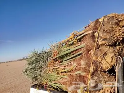 يوجد لدينا جميع أنواع انخيل وجميع المقاسات المختلفه 2