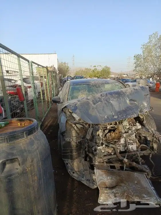 نيسان التيما موديل 2024 0