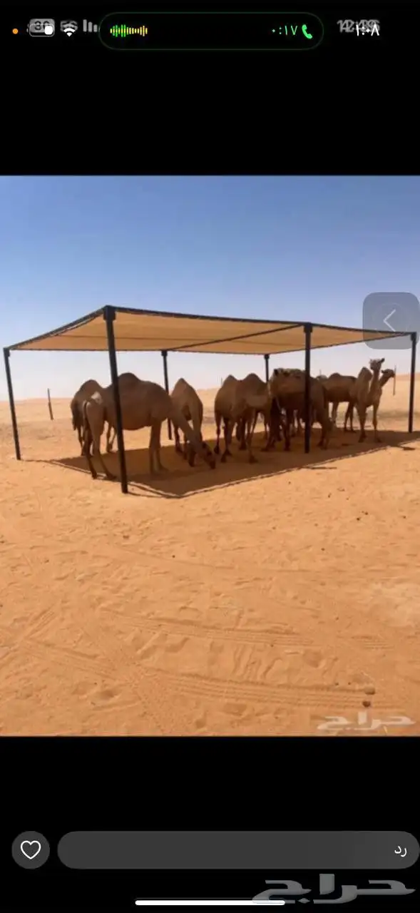 مظلات ابل جميع المقاسات عليها عرض خاص 4