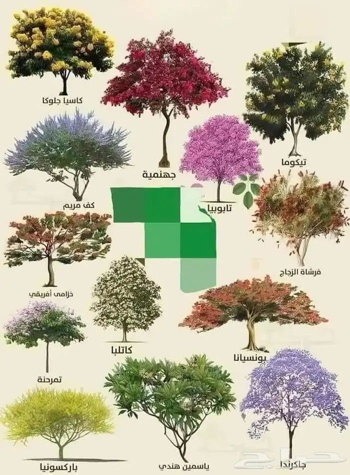 مشتل تنسيق حدائق 0
