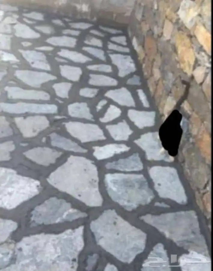 حجر معلم حجر طبيعي الباحه 1