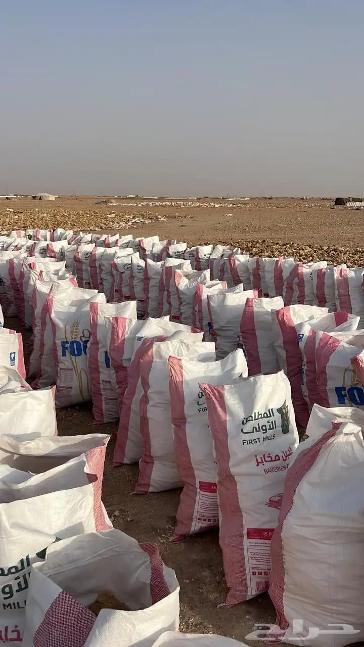 عجين علف حلال 2