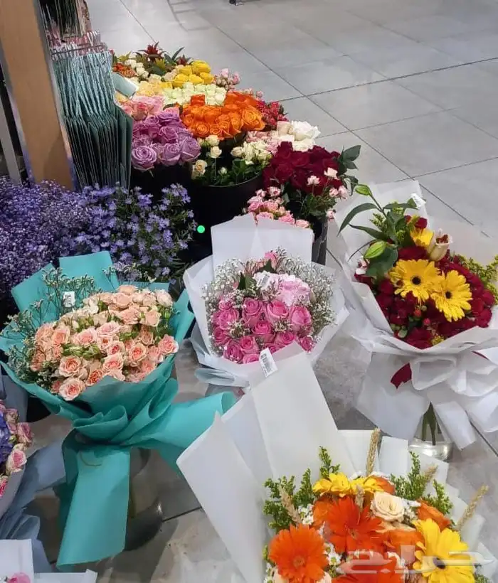 توزيع وتنسيق ورود جوري 4ريال بيبي روز 6سته ريال كيني امريكي 0