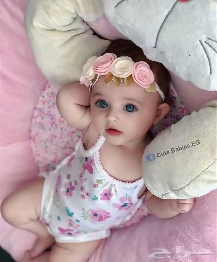 شيلات زفات حسب طلبك وباقل الاسعار اطلب زفتك الان 6