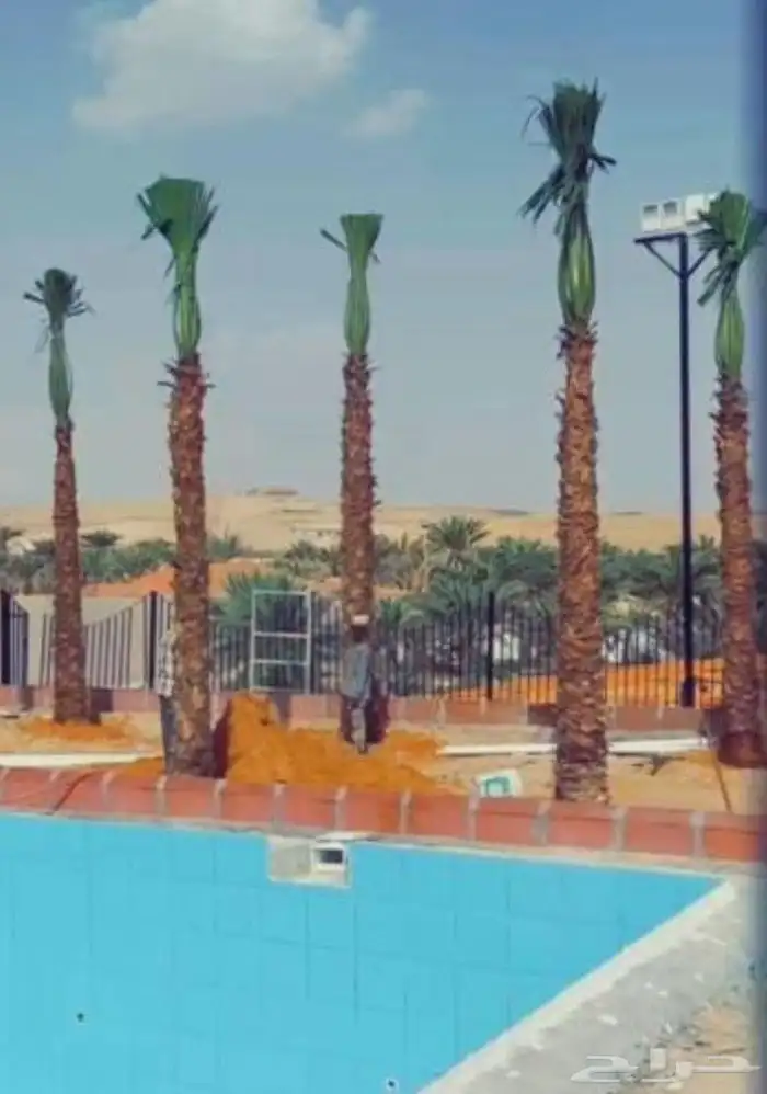 جميع مناطق المملكة العربية السعودية 4