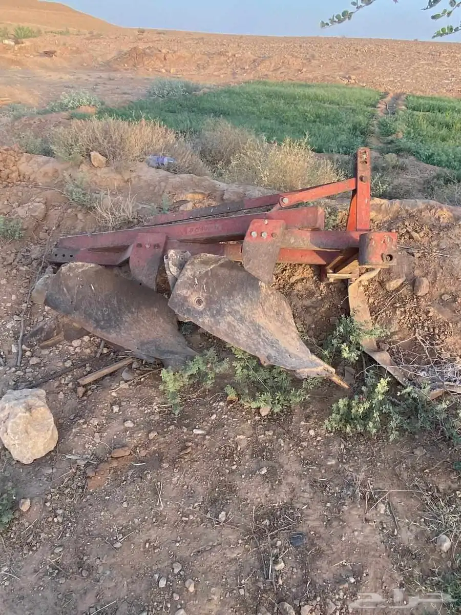 عزاق ضرسين نضييف شرط 0