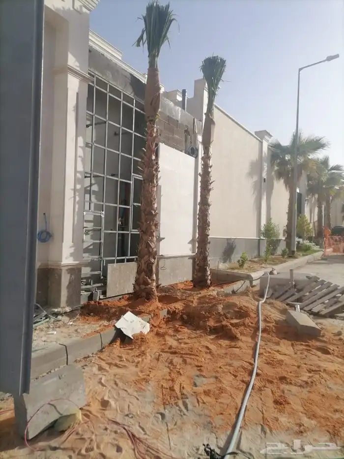 نقوم بتوريد وتركيب جميع انواع نخيل 6