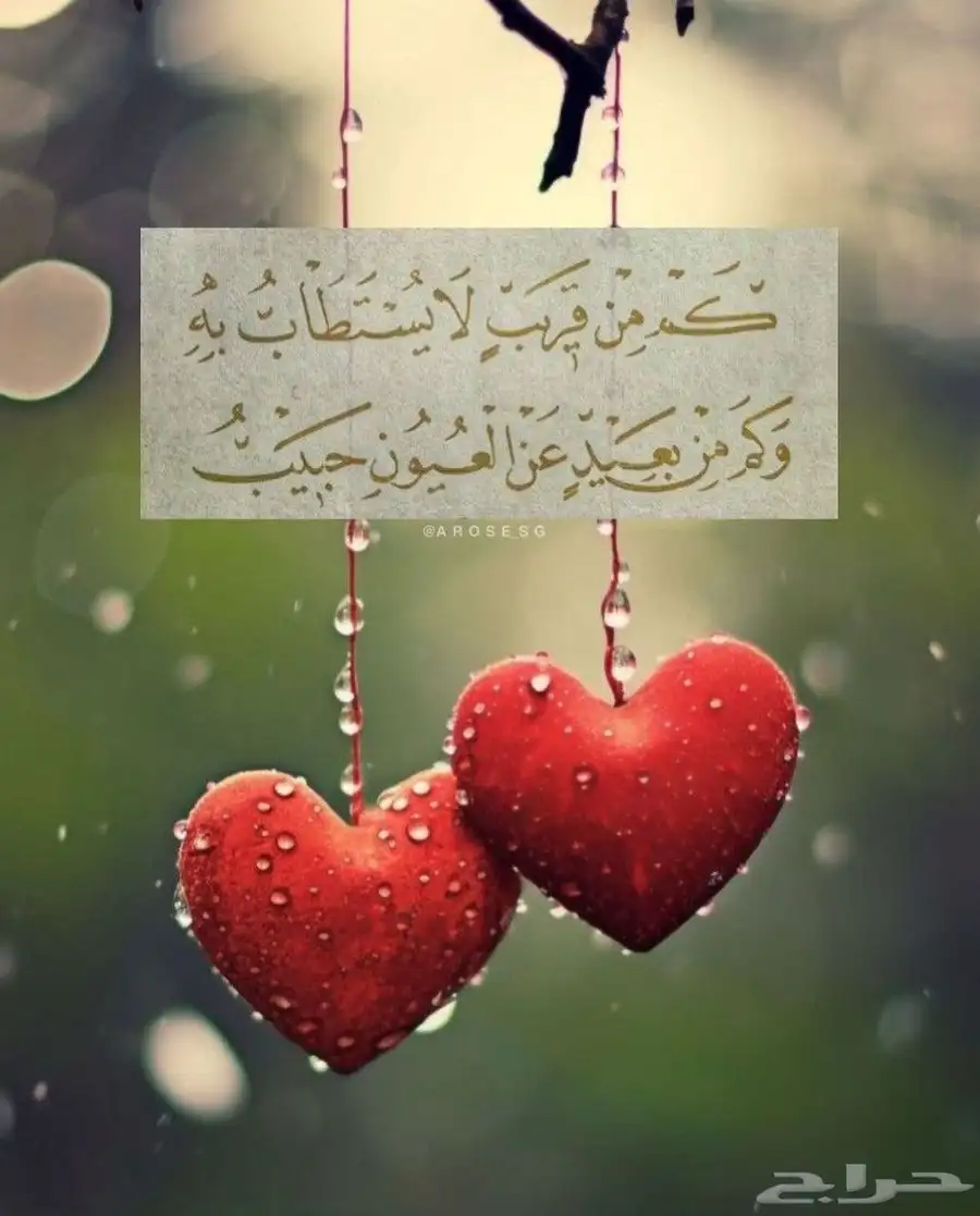 مطلوب اي حي في الدمام او الخبر او سيهات 0