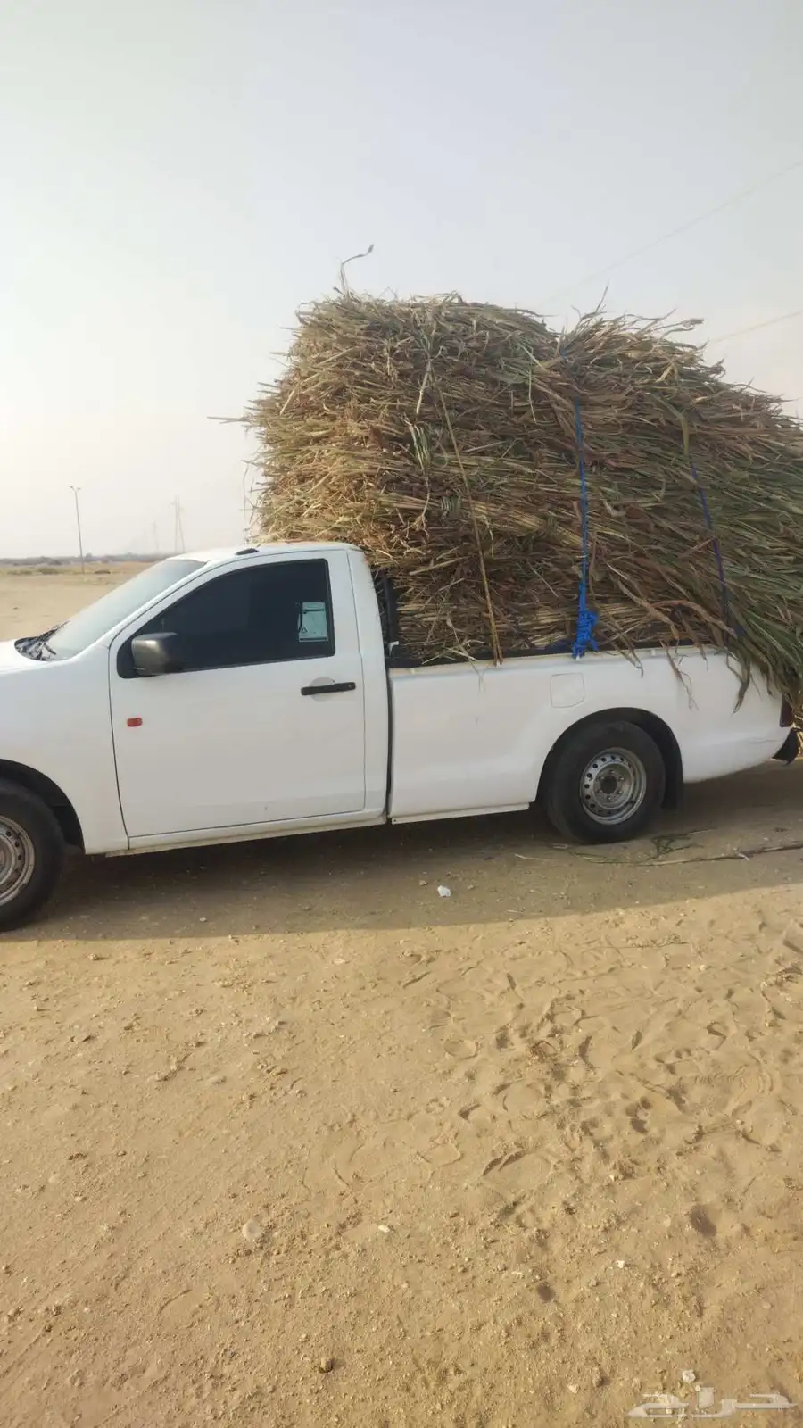 ونيت محايل عسير 7