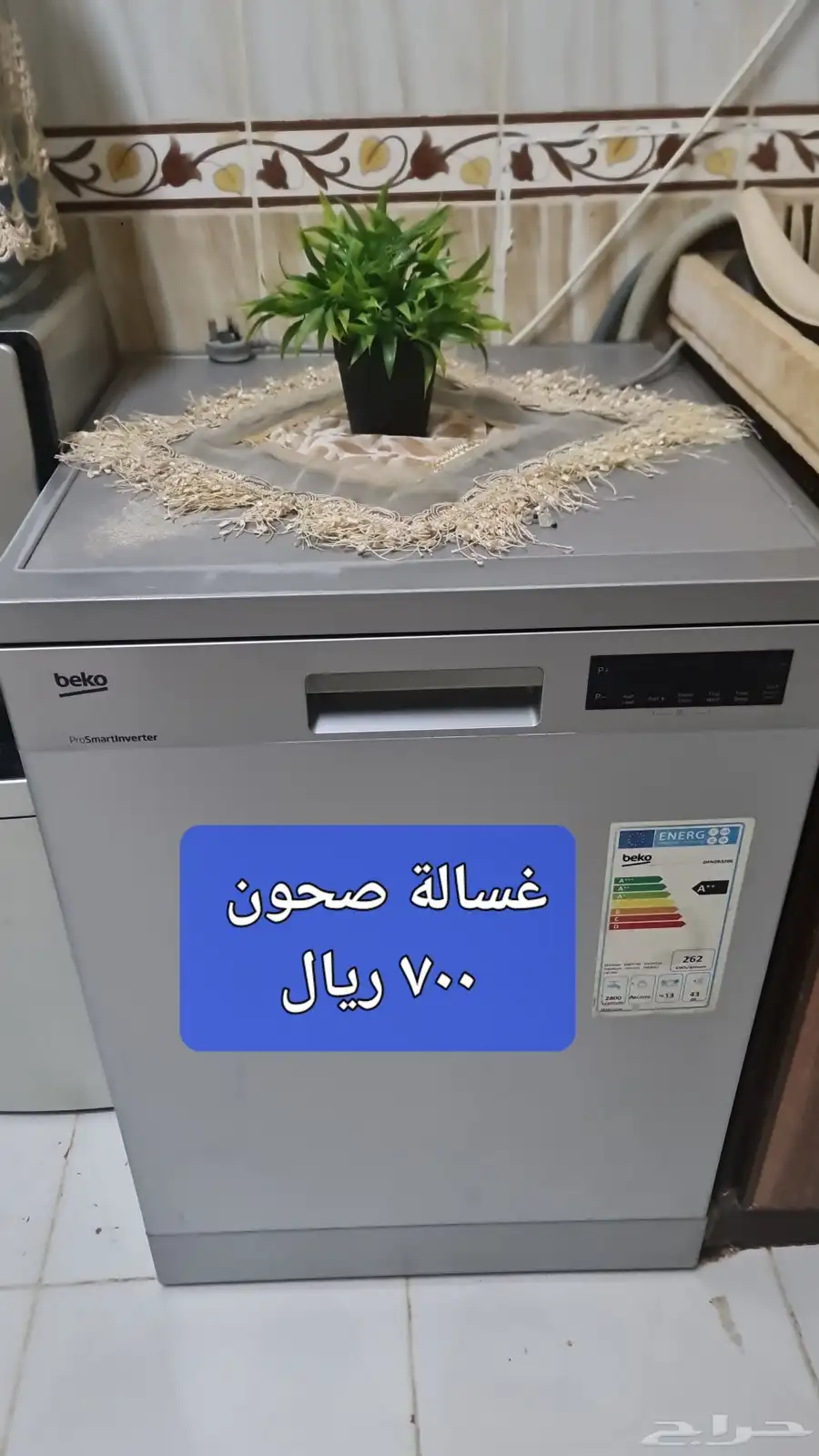 عشف للبيع 11