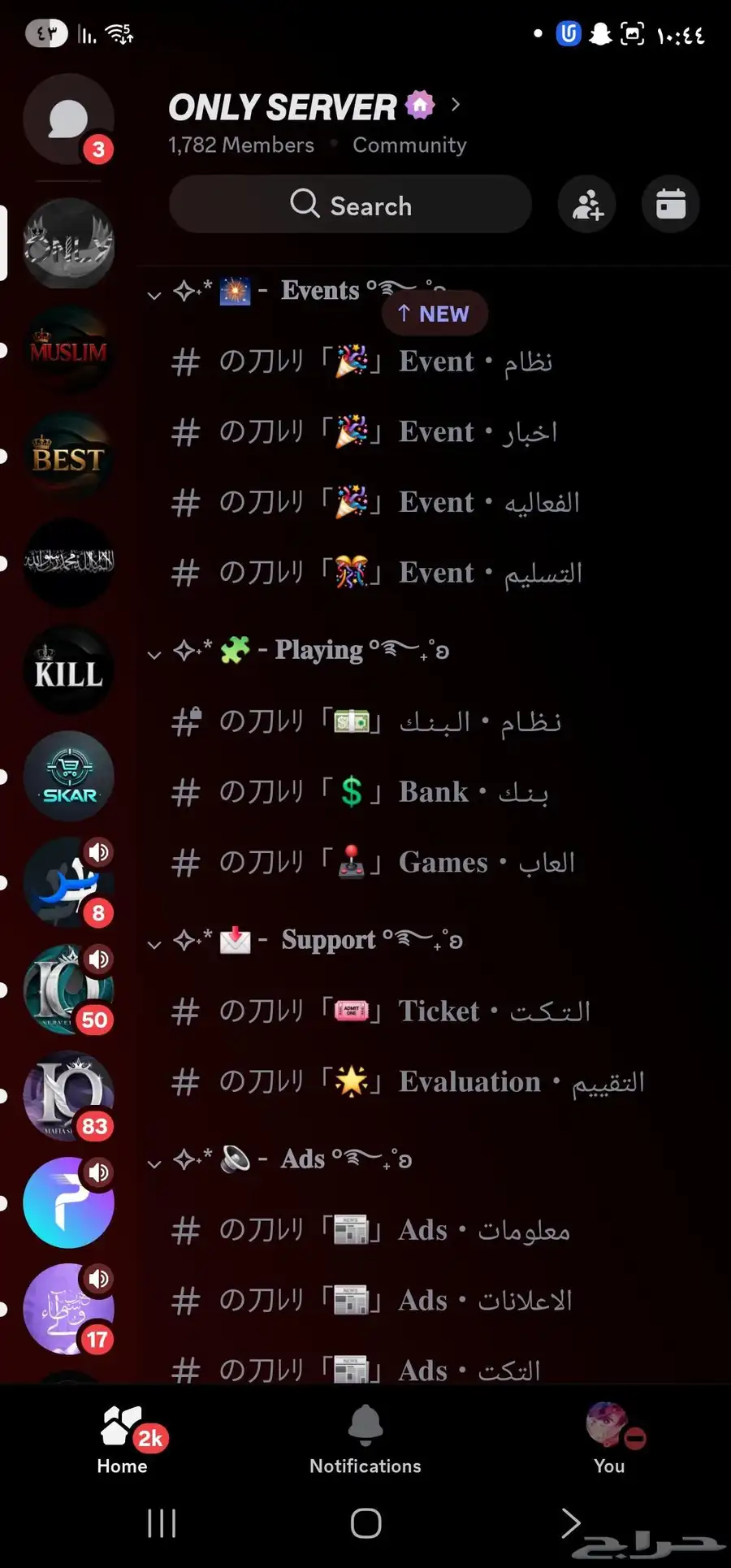 سيرفرين ديسكورد للبيع بسعر مميز 4