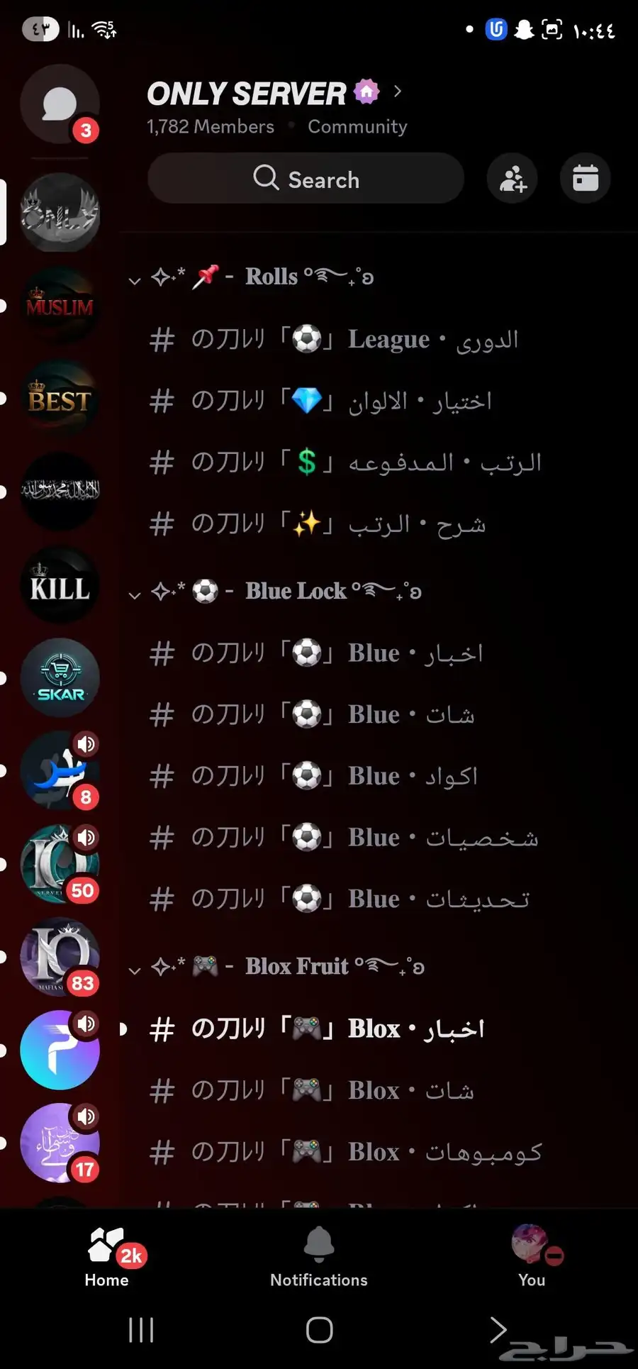سيرفرين ديسكورد للبيع بسعر مميز 7