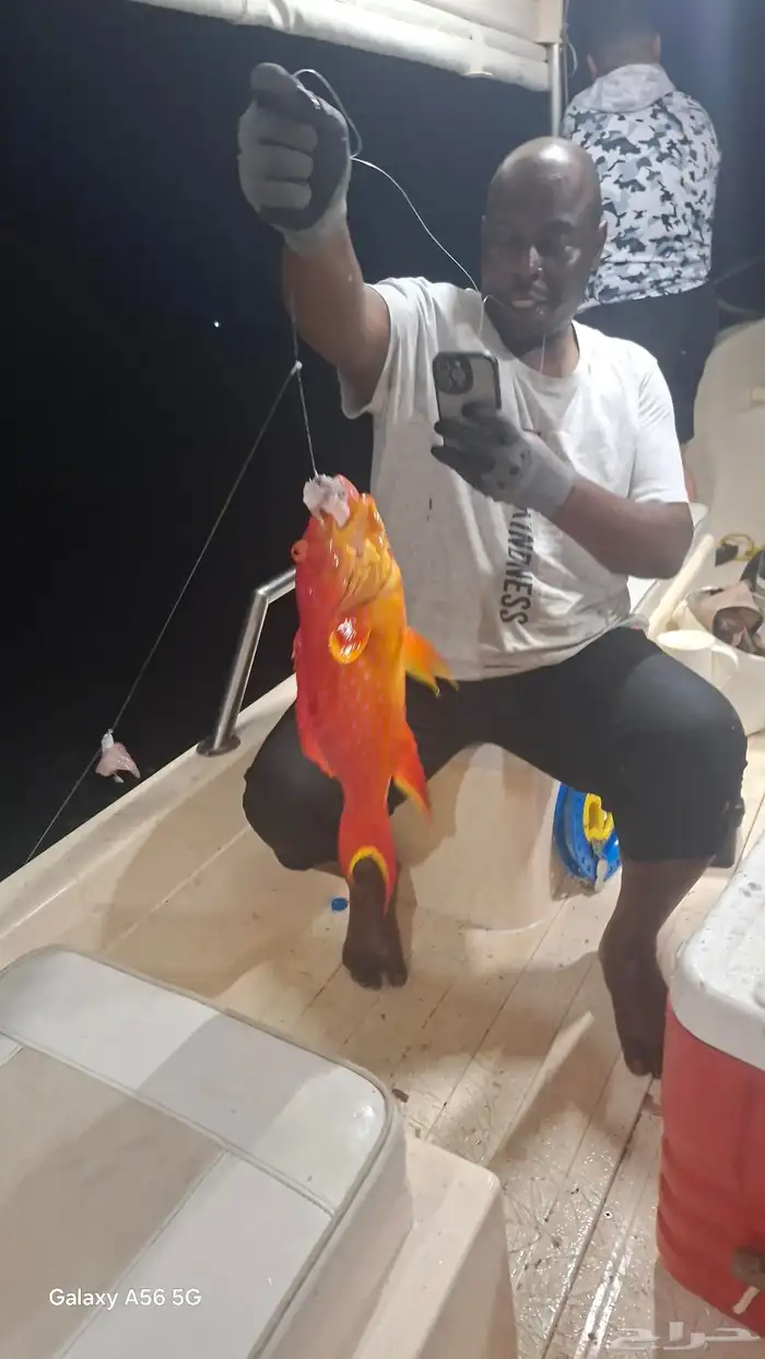 رحلات بحريه 0